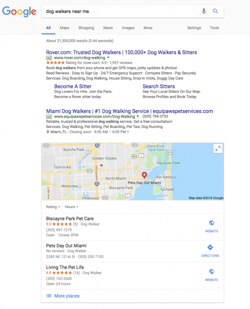 sample Google search results for dog walking businesses