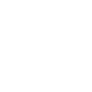 Dog Walking 