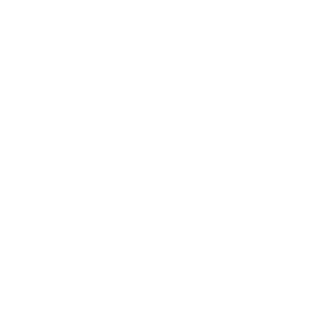 Transportation services 