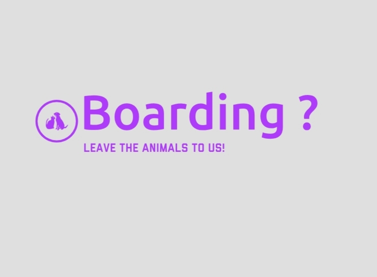Pet Boarding 